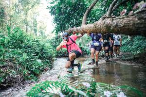 BIB: 
                            <button type="button" onclick="openModal(25463412)" class="btn btn-primary btn-sm float-right btn-popup" data-toggle="modal" data-target=".modal-high-quality">
                        <i class="fas fa-shopping-cart"></i> Add to Cart
                    </button>
                                            <button type="button" onclick="isThisMe(25463412, true)" class="btn btn-success btn-sm float-right btn-popup btn-isme hidden" data-toggle="tooltip" data-placement="bottom" title="นี่คือรูปของคุณใช่ไหม คลิกที่นี่เพื่อเอาเข้าอัลบั้ม">
                        <i class="fas fa-plus"></i> Add to album
                    </button>
                    <button type="button" onclick="isThisMe(25463412, false)" class="btn btn-warning btn-sm float-right btn-popup btn-isnotme hidden">
                        <i class="fas fa-ban"></i> Remove from album
                    </button>